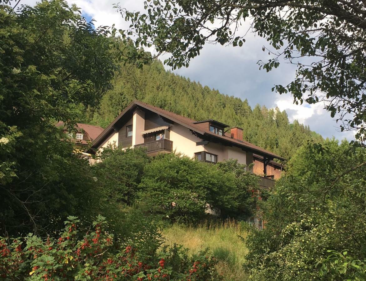 Haus Agnes, Murau Exterior foto